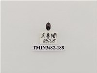 藏品(鞘翅目(2))的圖片